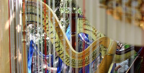 Largest harp sales